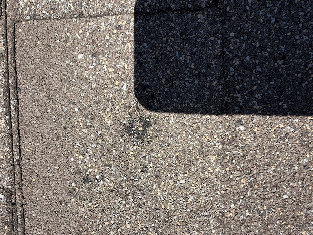 Damage assessment - IMG_0453