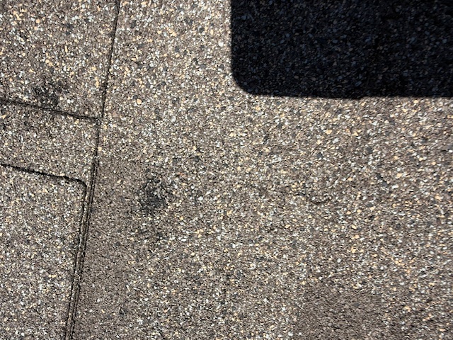 Damage assessment - IMG_0454
