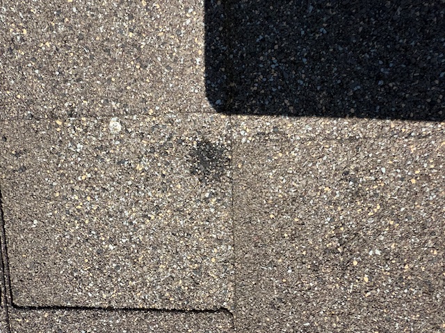 Damage assessment - IMG_0455