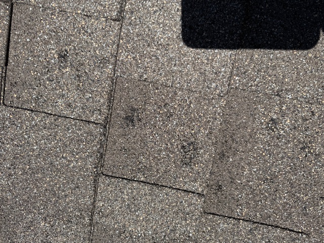 Damage assessment - IMG_0457