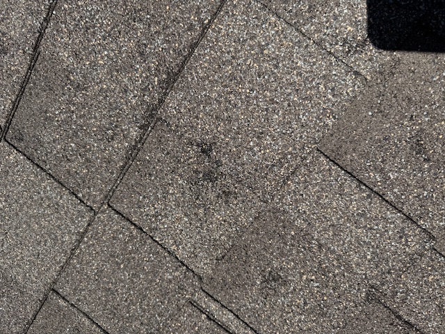 Damage assessment - IMG_0458