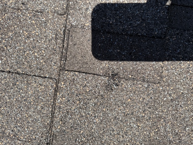 Damage assessment - IMG_0459
