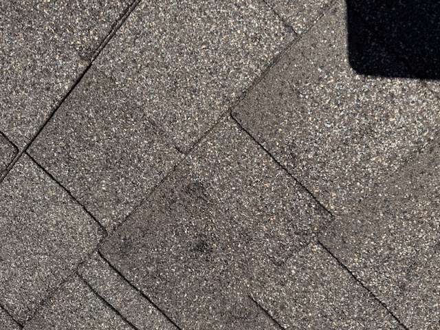 Damage assessment - IMG_0460