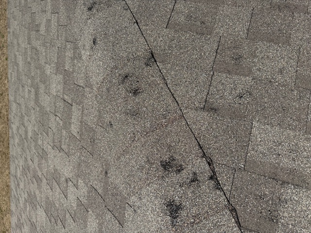 Damage assessment - IMG_0462