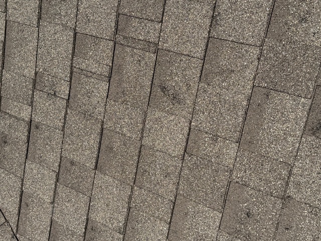 Damage assessment - IMG_0463