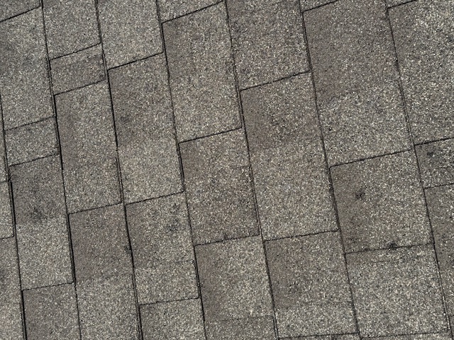 Damage assessment - IMG_0464