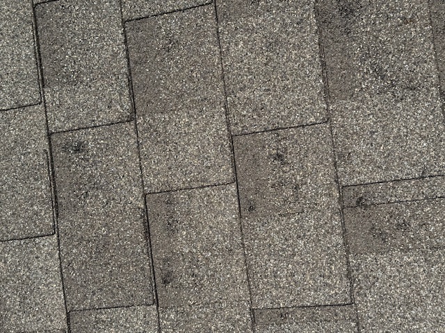 Damage assessment - IMG_0465