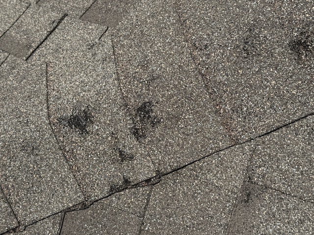 Damage assessment - IMG_0466