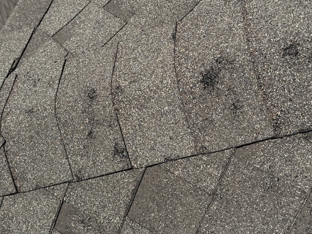 Damage assessment - IMG_0467