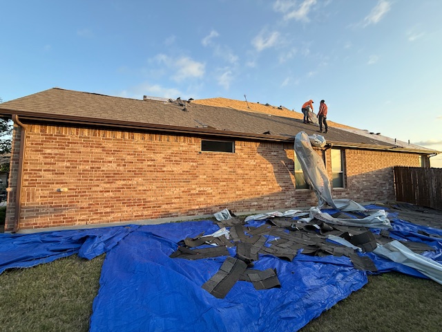 Roof project - IMG_1486