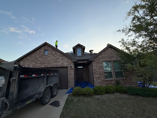 Roof project - IMG_1487