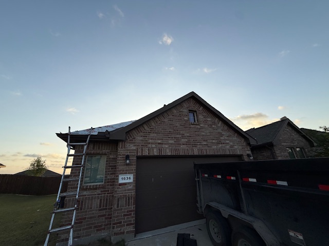 Roof project - IMG_1488