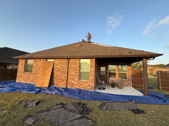 Roof project - IMG_1491