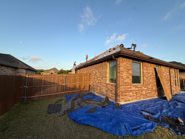 Roof project - IMG_1492