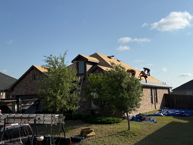 Roof project - IMG_1505