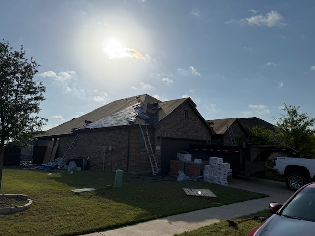 Roof project - IMG_1506