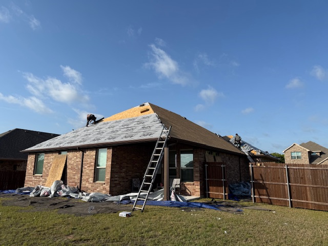 Roof project - IMG_1507