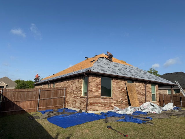 Roof project - IMG_1508