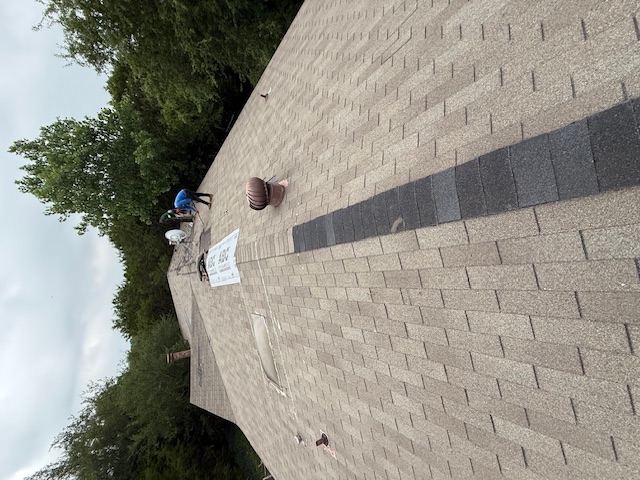 Roof project - IMG_1845
