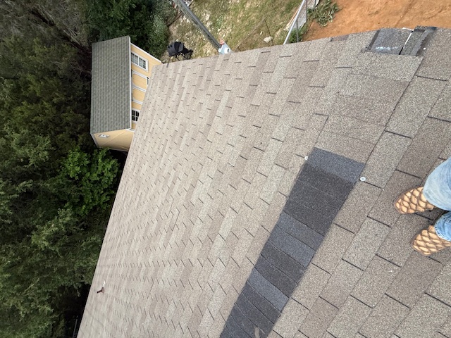 Roof project - IMG_1846