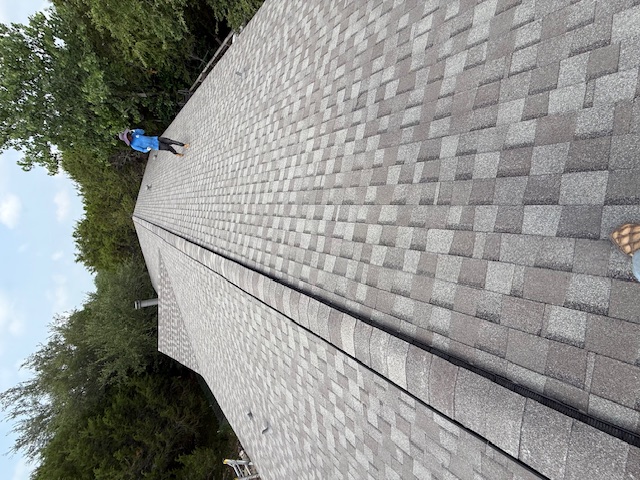 Roof project - IMG_1896