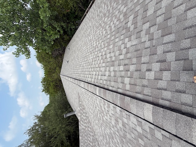 Roof project - IMG_1897