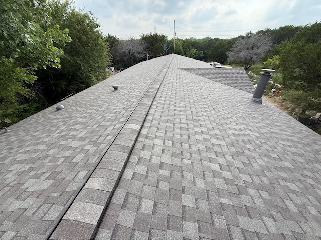 Roof project - IMG_1899