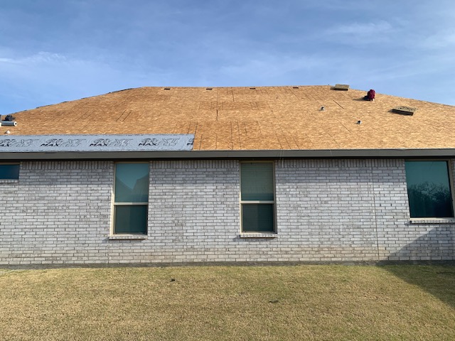Roof project - IMG_5936