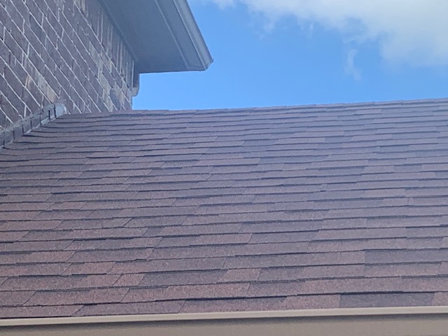 Roof project - IMG_6092
