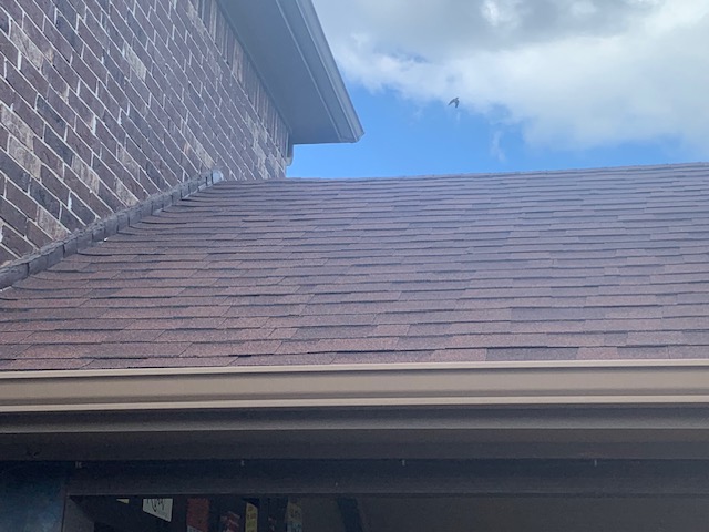 Roof project - IMG_6093